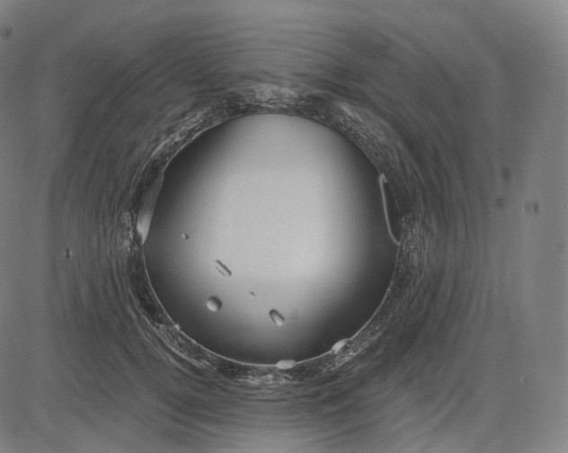 X0000084550752200703091719