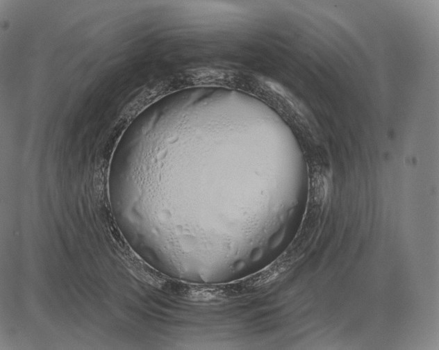 X0000084550753200703091719