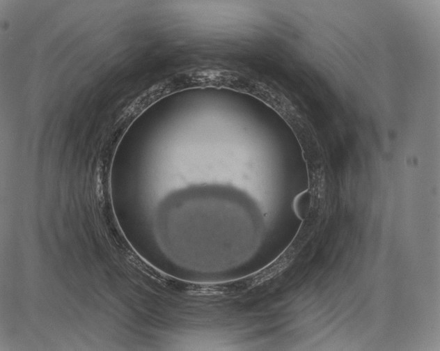 X0000084550754200703091719