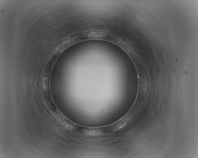 X0000084550755200703091719