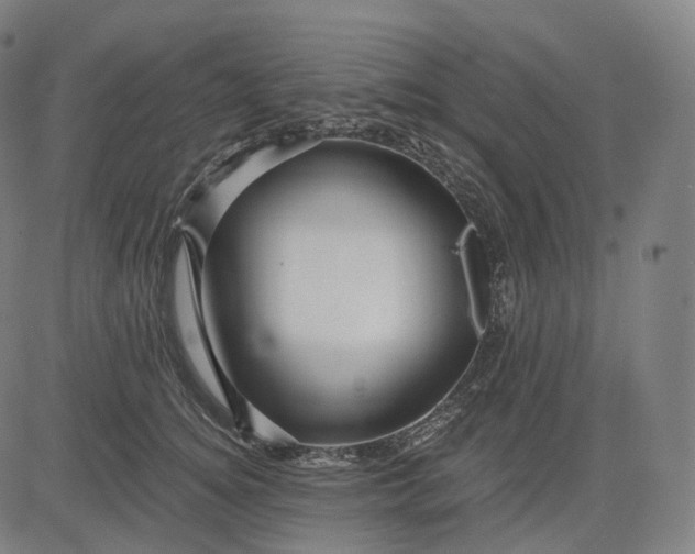 X0000084550756200703091719