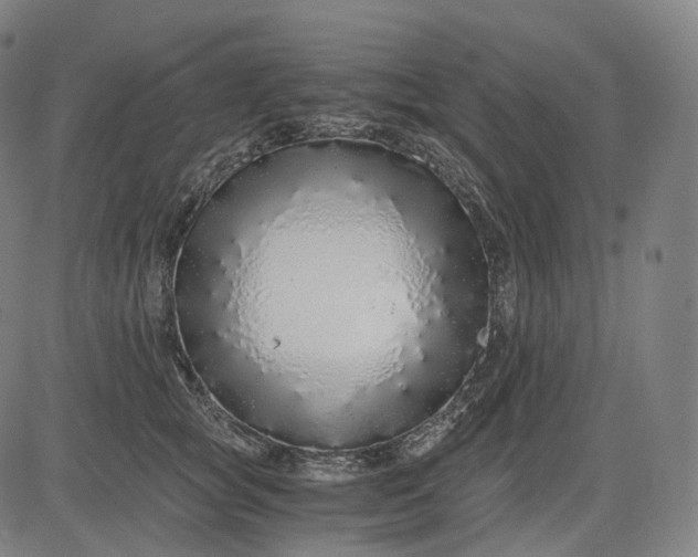 X0000084550757200703091719