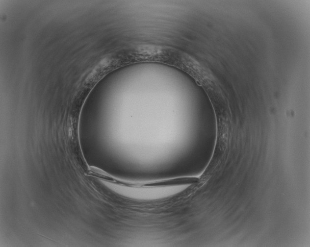 X0000084550758200703091719