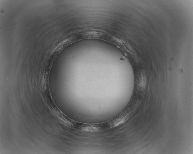 X0000084550759200703091719