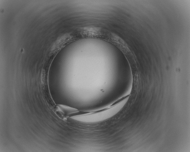 X0000084550760200703091719