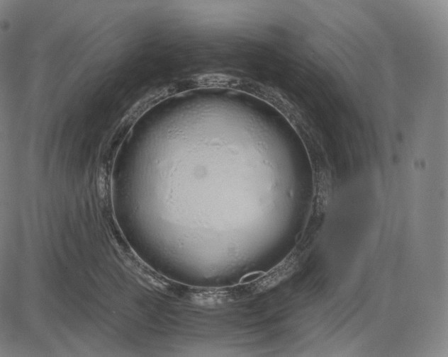 X0000084550761200703091719