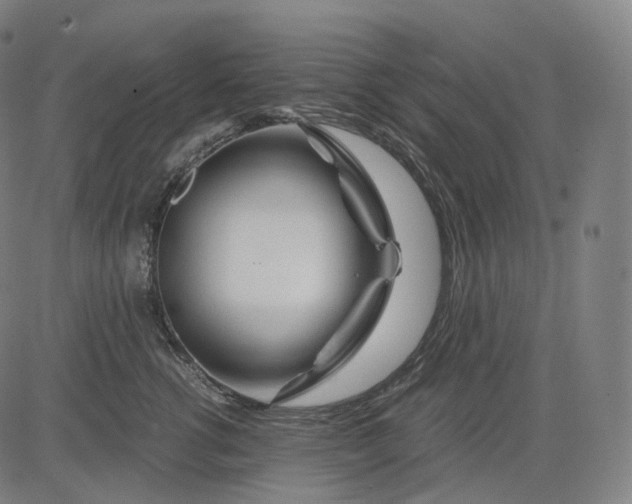 X0000084550762200703091719