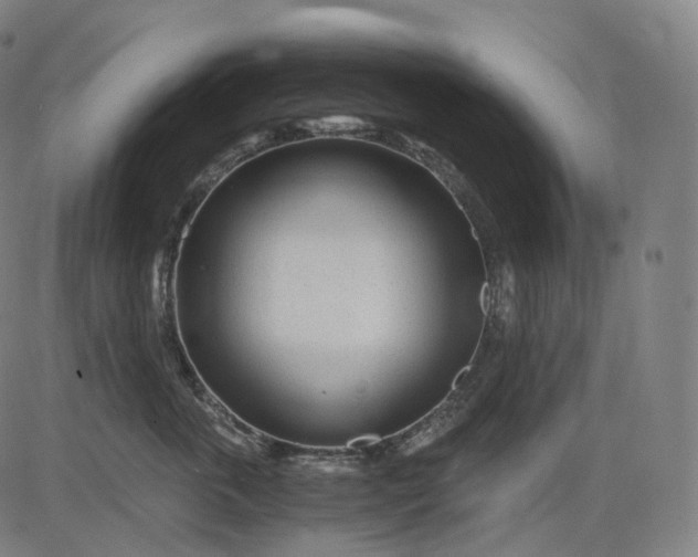 X0000084550763200703091719