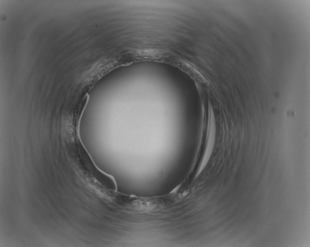 X0000084550764200703091719