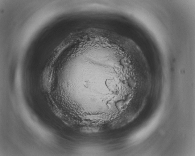 X0000084550765200703091719