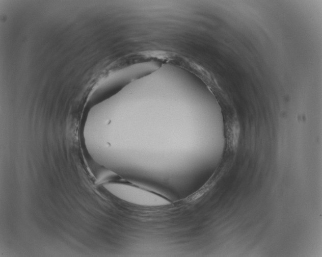 X0000084550766200703091719