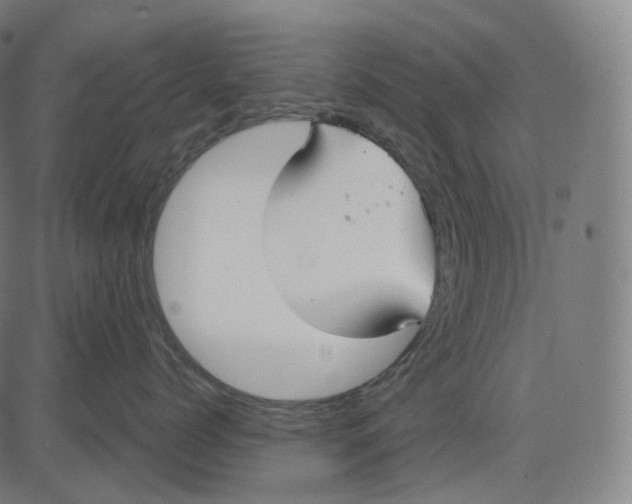 X0000084550768200703091719