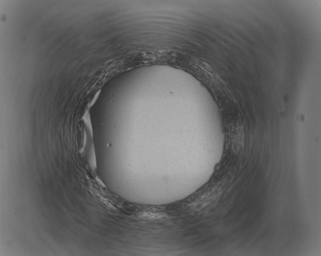 X0000084550770200703091718