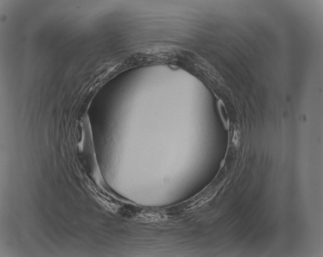 X0000084550771200703091718