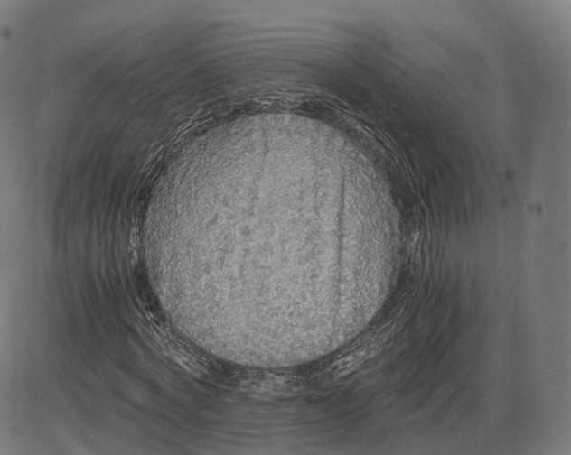 X0000084550772200703091718