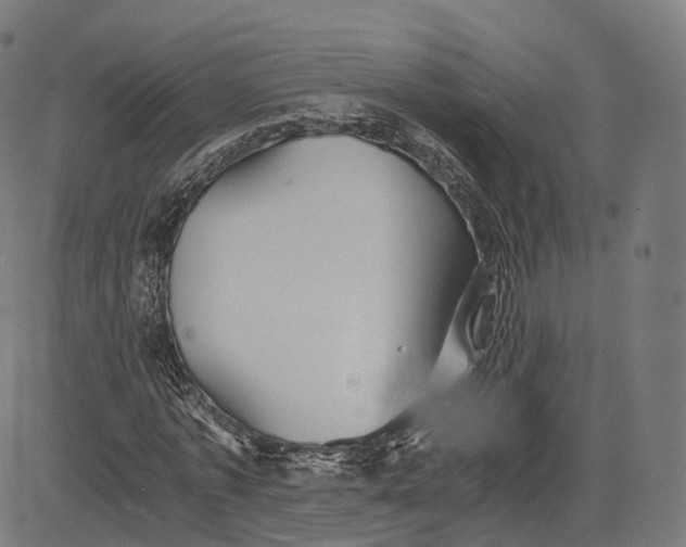 X0000084550773200703091718