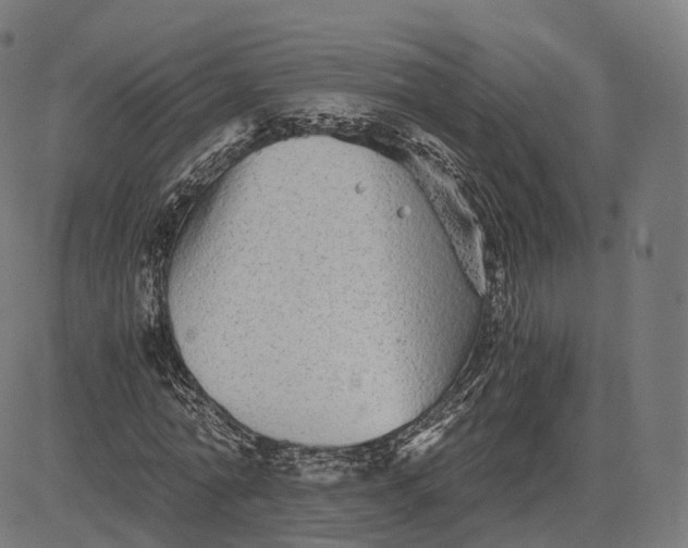 X0000084550774200703091718