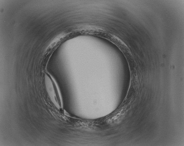 X0000084550775200703091718