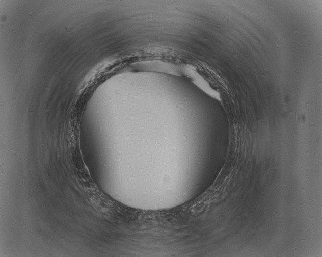 X0000084550776200703091718