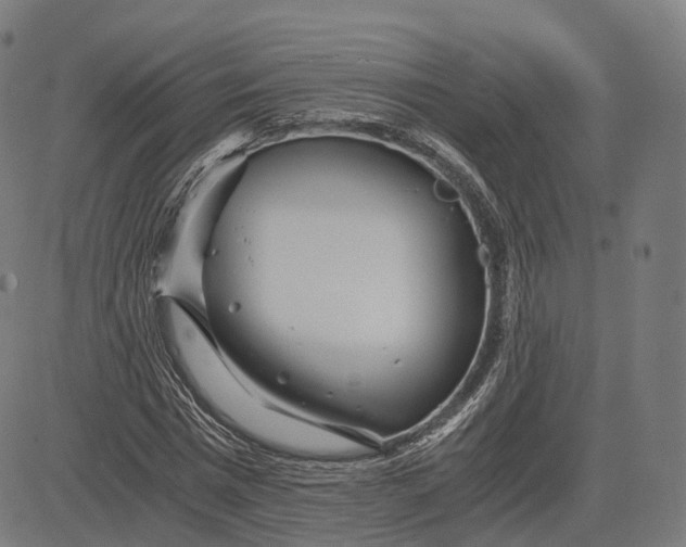 X0000084550777200703091718