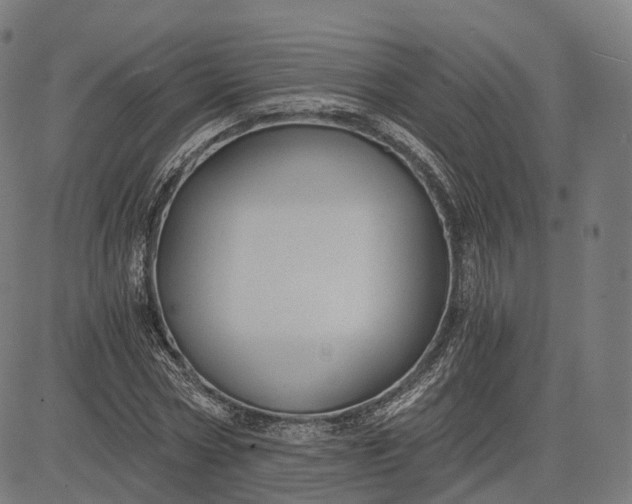 X0000084550778200703091718