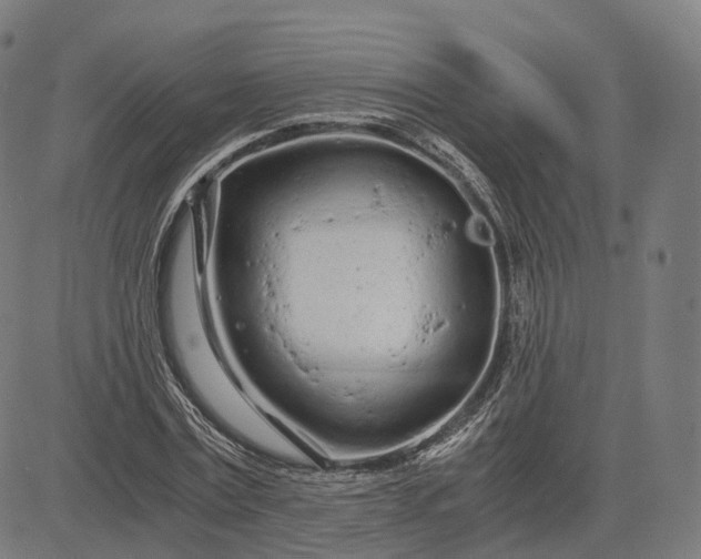 X0000084550779200703091718