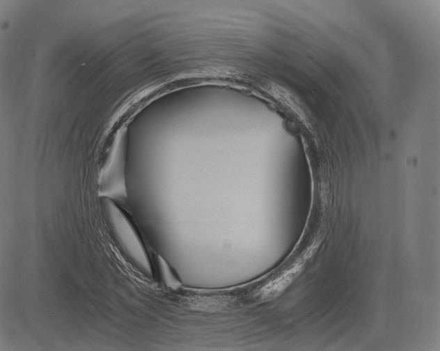 X0000084550781200703091718