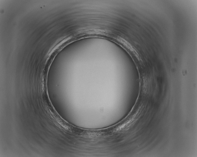 X0000084550782200703091718