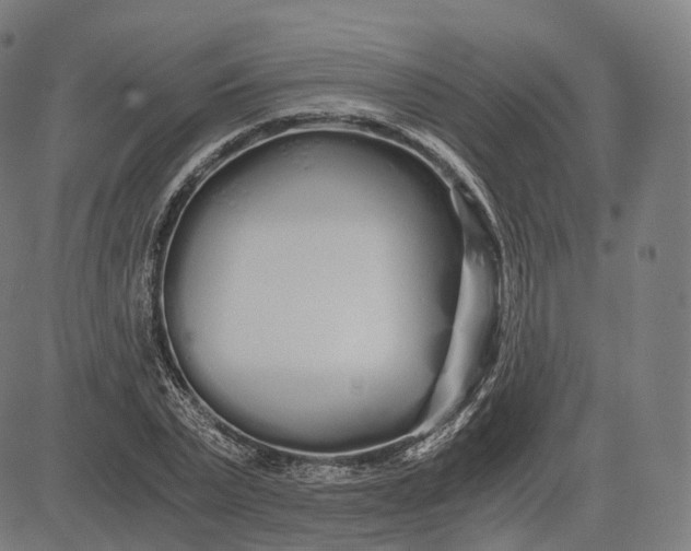 X0000084550783200703091718