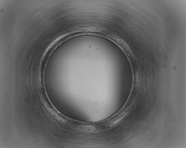 X0000084550784200703091718