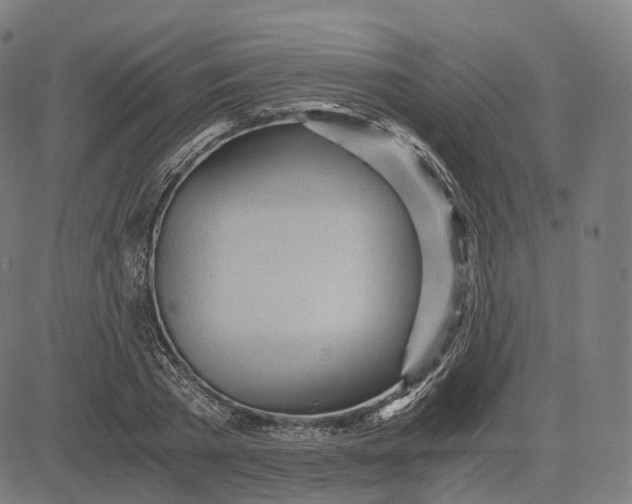 X0000084550785200703091718