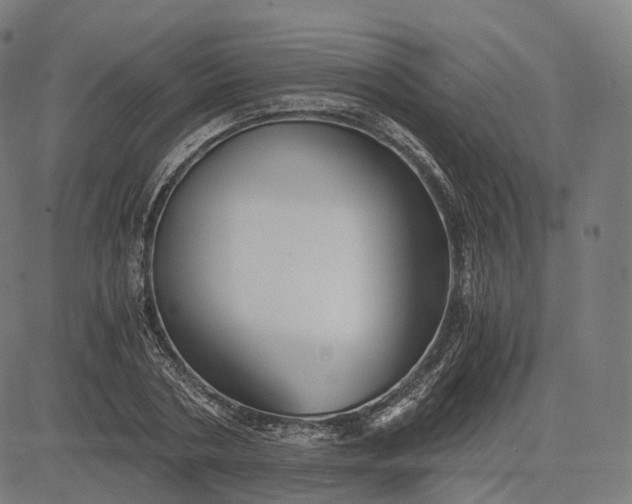 X0000084550786200703091718