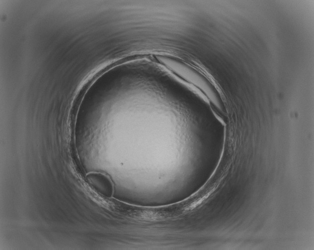 X0000084550787200703091718