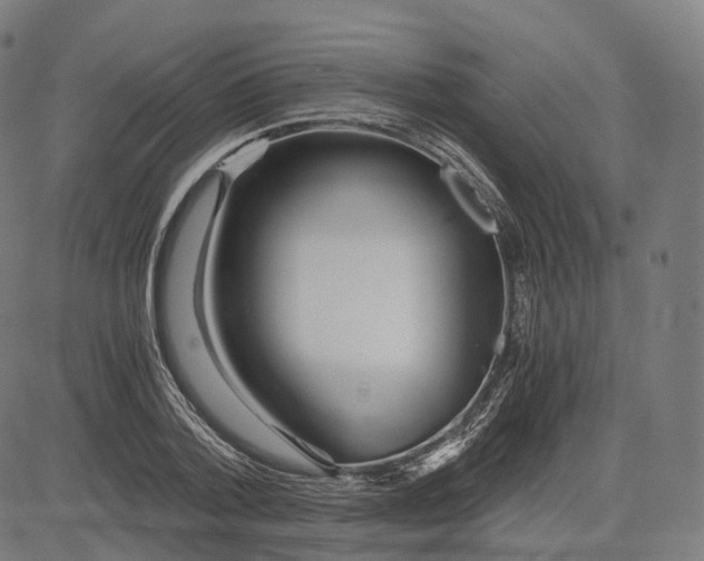 X0000084550788200703091718