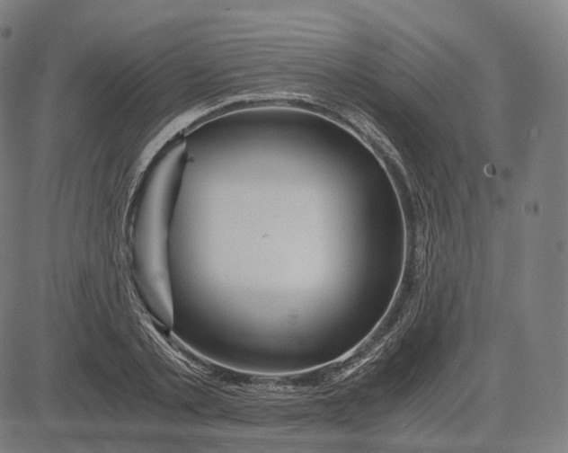 X0000084550789200703091718