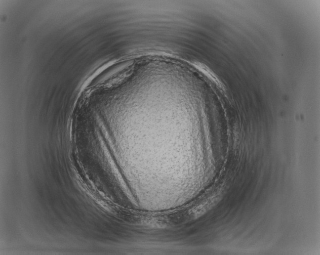 X0000084550790200703091718