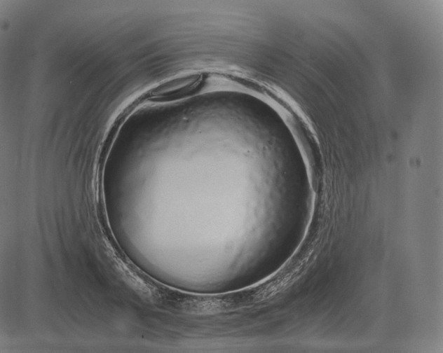 X0000084550791200703091718