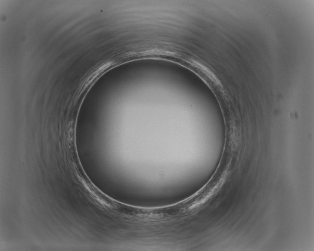 X0000084550793200703091718