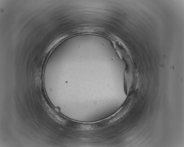 X0000084550794200703091718