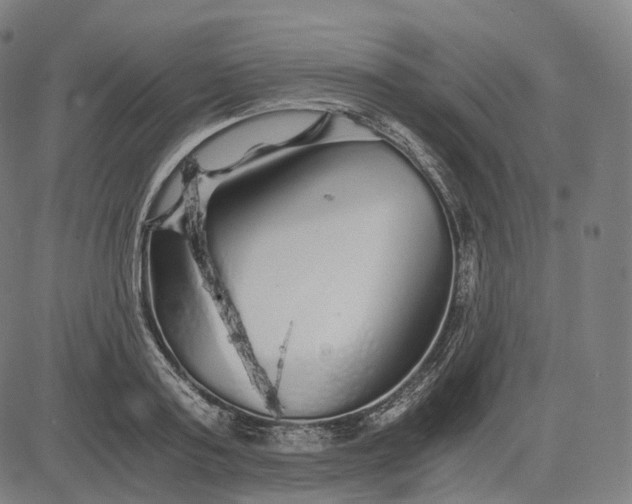 X0000084550795200703091718