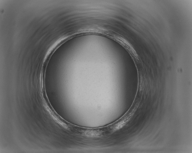 X0000084550796200703091718