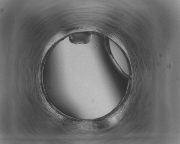 X0000084550797200703091718