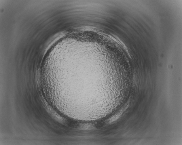 X0000084550798200703091718