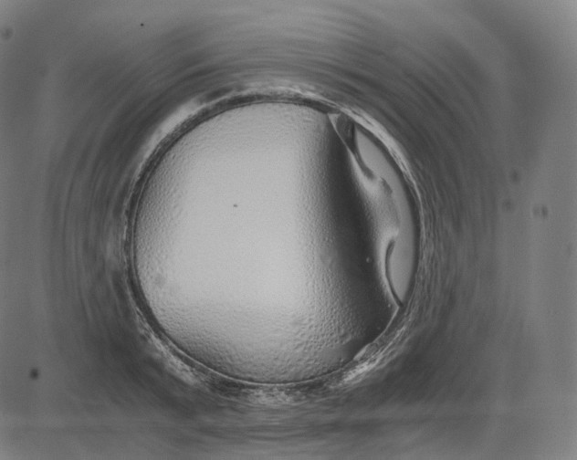 X0000084550799200703091718