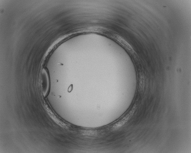 X0000084550800200703091718