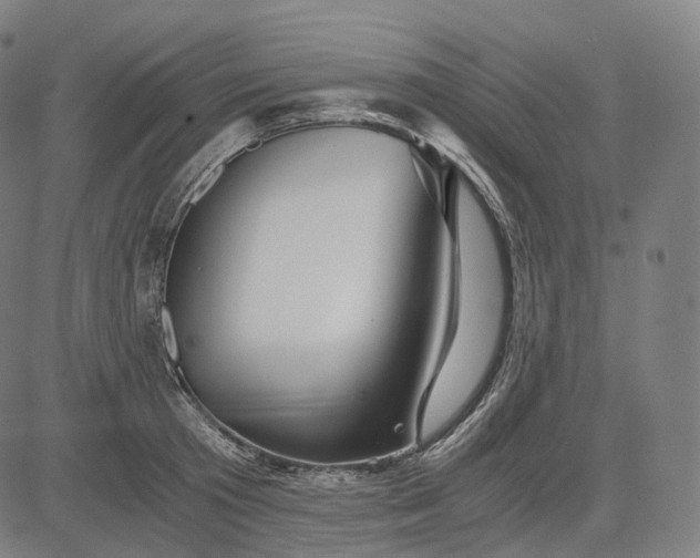 X0000084550801200703091718