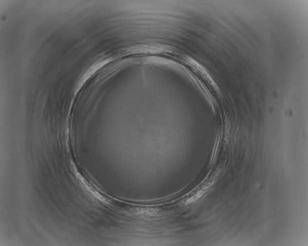 X0000084550802200703091718