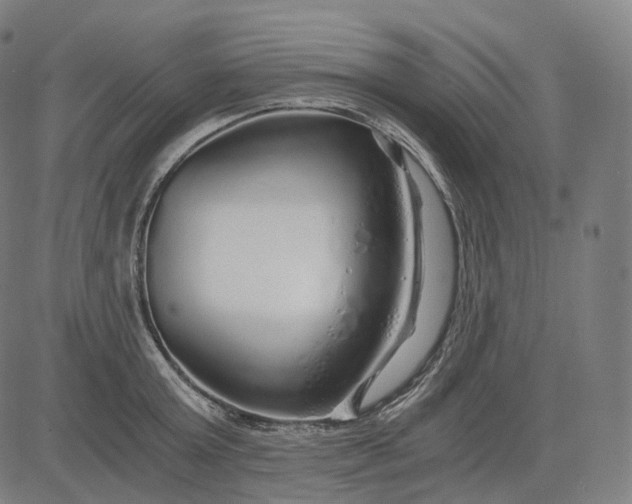 X0000084550803200703091718