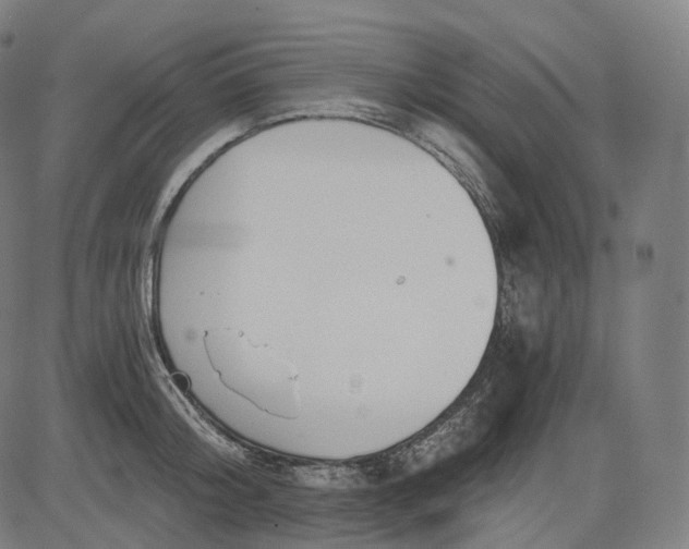 X0000084550804200703091718