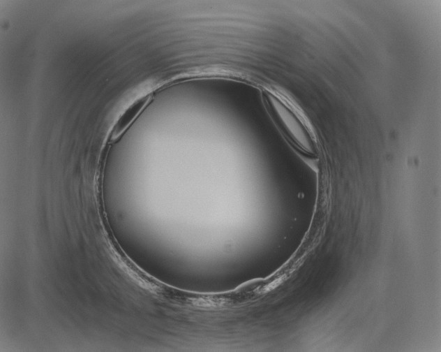 X0000084550805200703091718